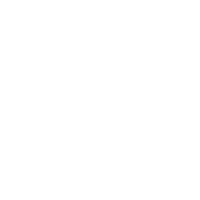 dsoa-logo-white-medium