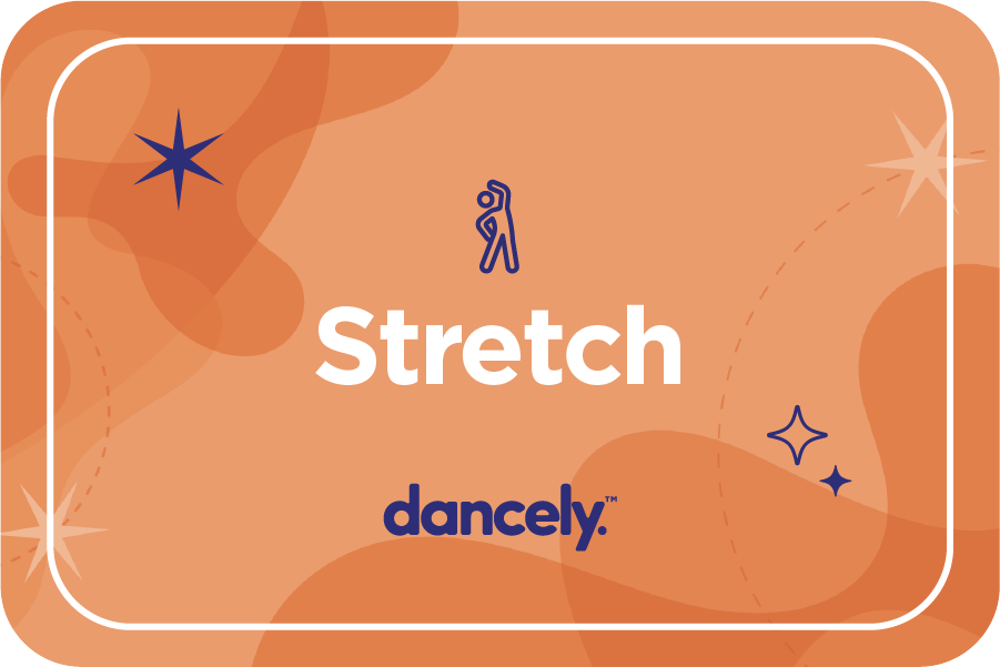 Dancely - Lesson Plan Builder V01-05